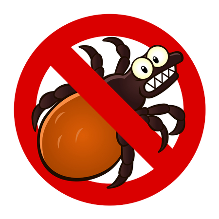 FLEA tick