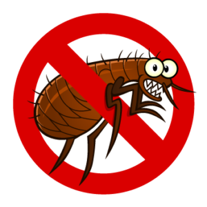 Fleas