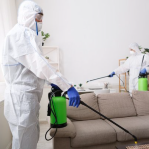 Fumigation