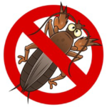 Mole-Cricket