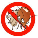 Termite