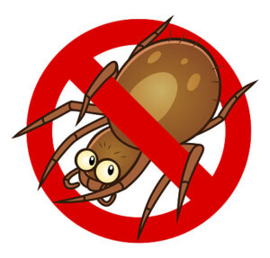 Spiders