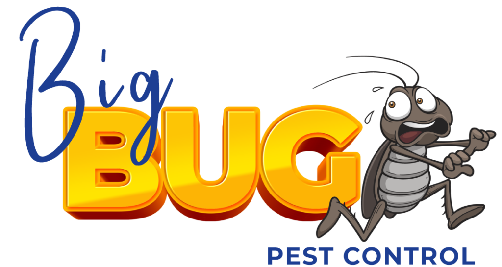 Big-Bug-Logo-2